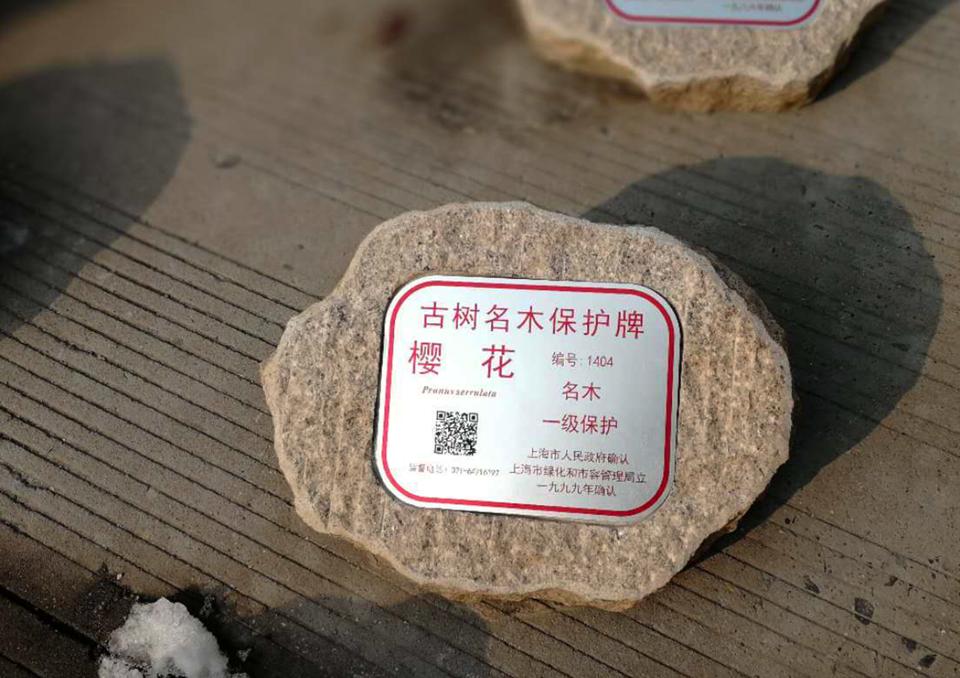 江蘇標(biāo)牌鋁牌制作：樹木銘牌